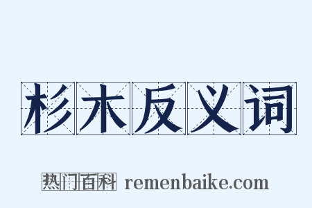 杉木反义词是什么意思的图片